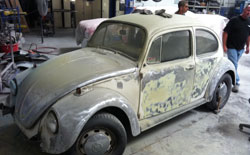 Old & Damage Beetle